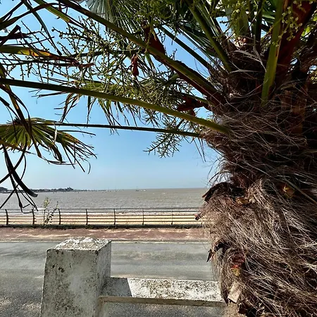 Ocean- Vue Imprenable Sur La Cote Atlantique 度假居