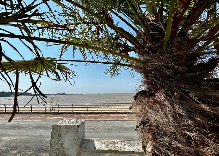 Ocean- Vue Imprenable Sur La Cote Atlantique Βίλα